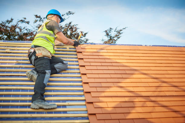 Best Rubber Roofing (EPDM, TPO)  in Excelsior, MN